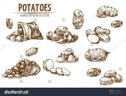 Картофельная графика