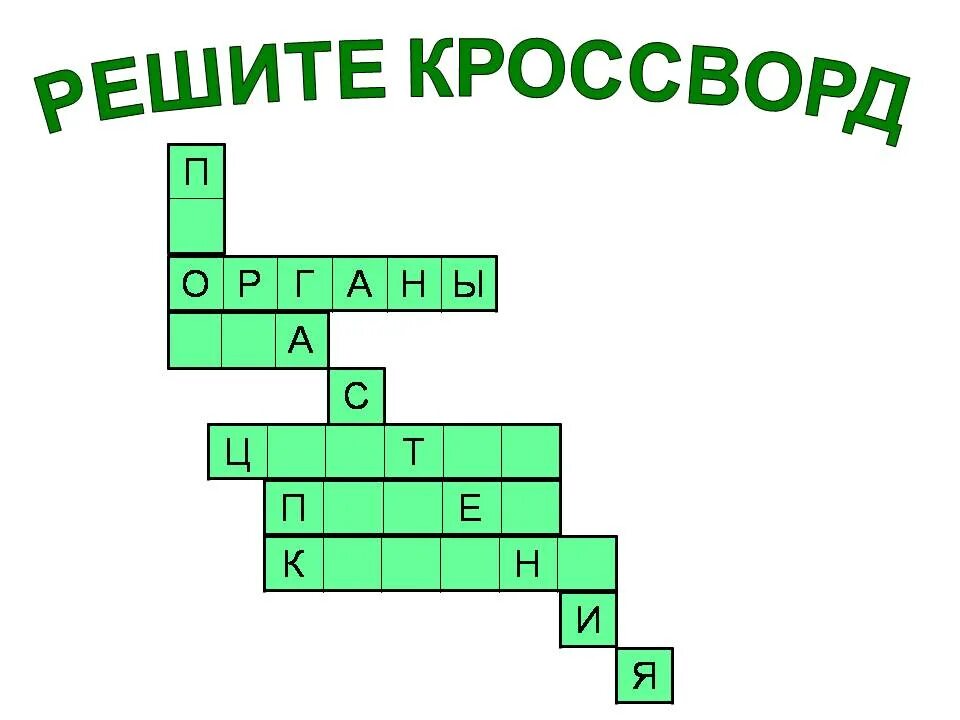 Кроссворд фотосинтез 6 класс с ответами. Кроссворд фотосинтез и дыхание растений. Кроссворд на тему фотосинтез и дыхание. Кроссворд на тему дыхание растений. Кроссворд на тему дыхание растение биология.