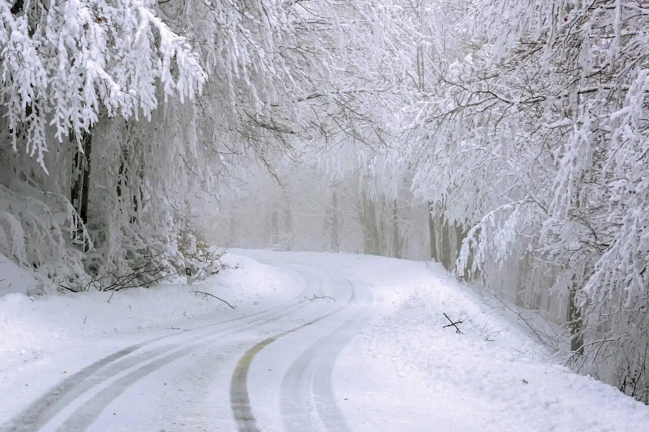 Зимняя дорога. Дорога зимой. Зимняя дорога в лесу. Снег фото.