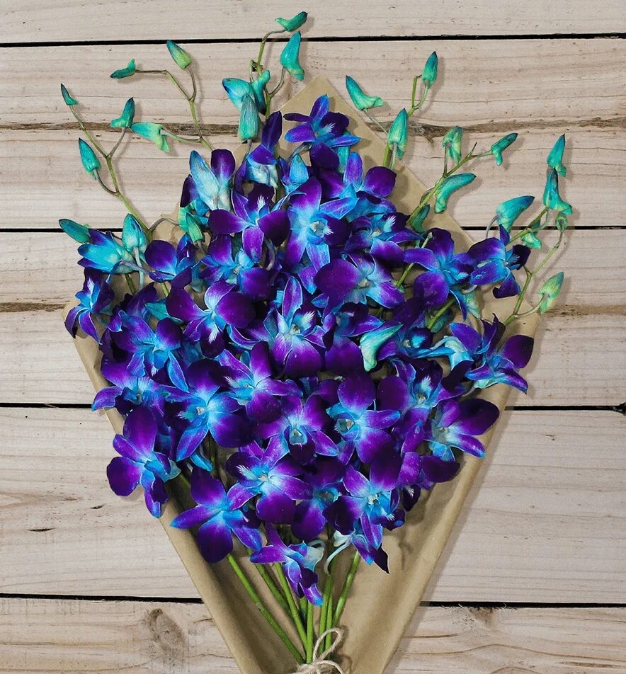 Букет из бабочек. Орхидея Дендробиум синяя. Дендробиум синий. Орхидея Дендробиум синяя букет. Дендробиум синий букет.