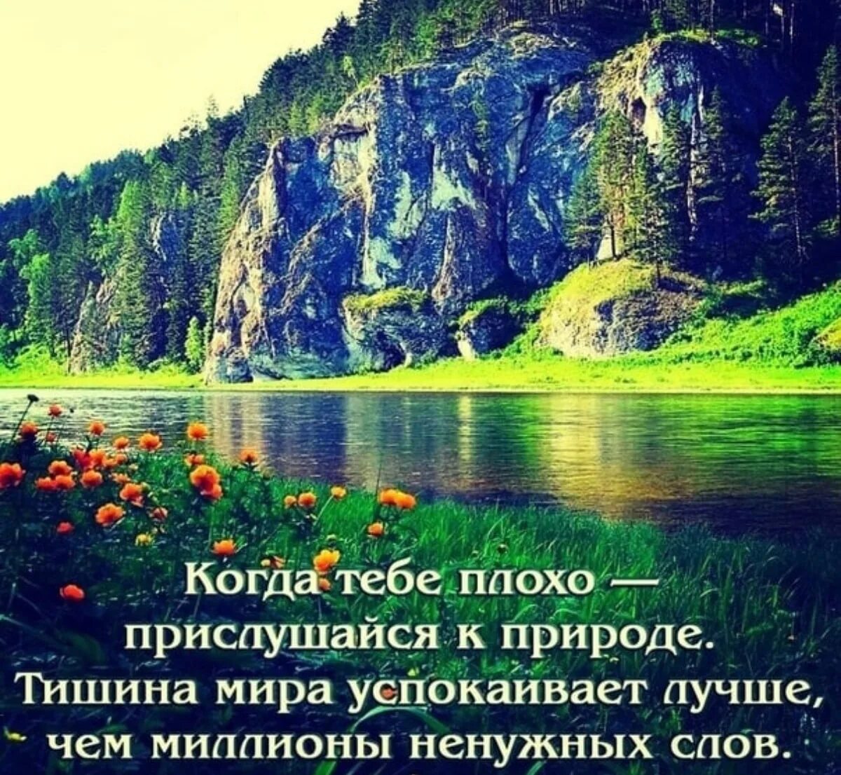 Отметьте верные высказывания о природе северной америки. Высказывания о красоте природы. Красивые высказывания о природе. Красивые цитаты о красоте природы. Фразы про природу.