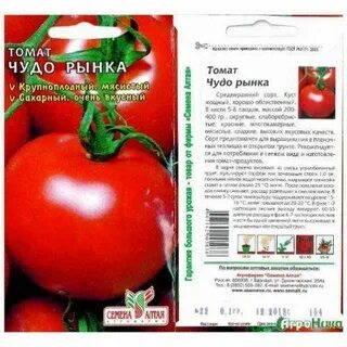 Сорт томатов чудо лентяя отзывы