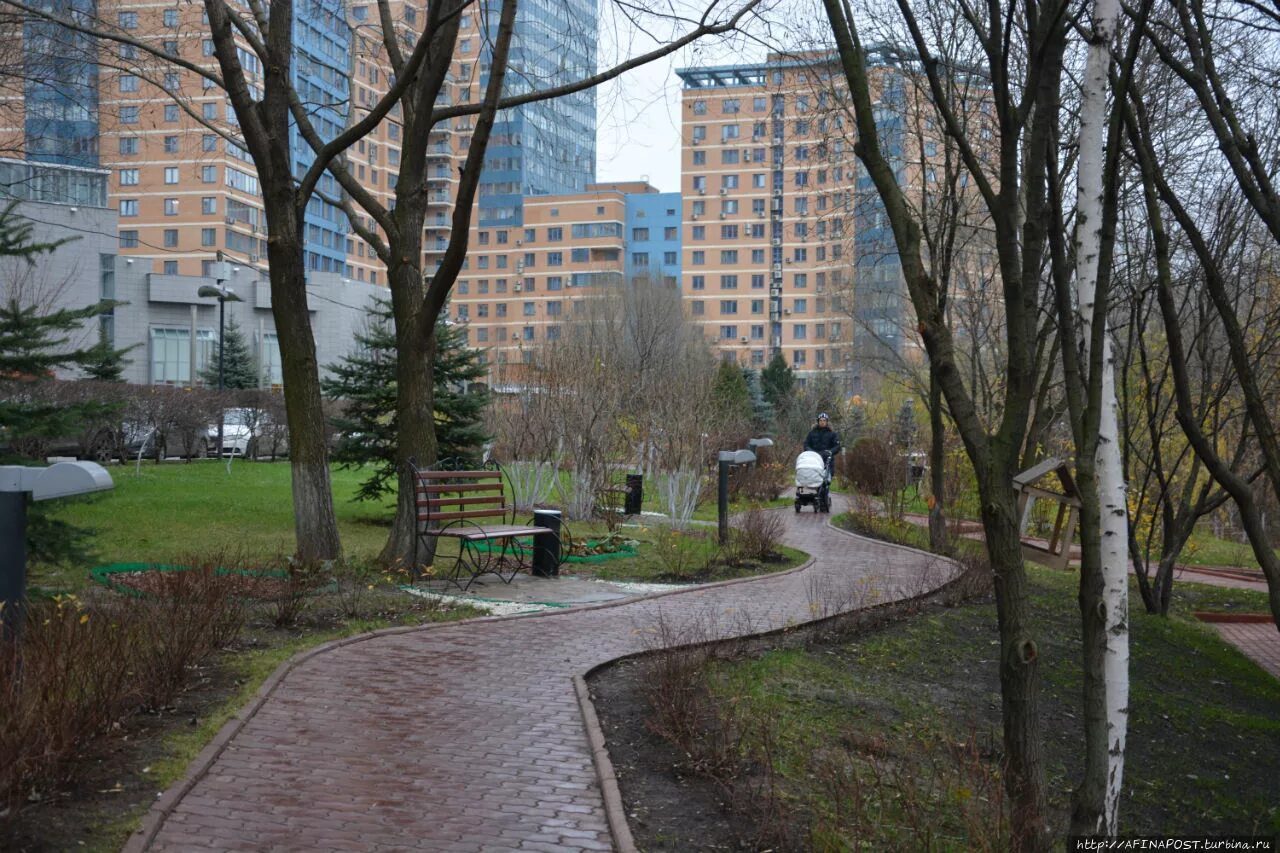 Московский дворовой. Дворики москвы. московский двор. зелёные дворы москвы.