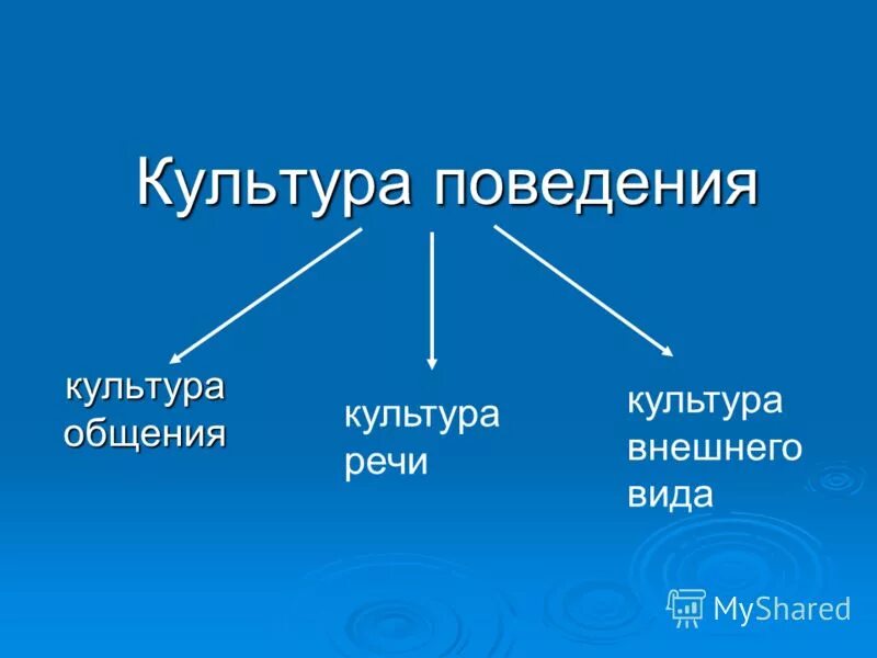 Примеры культуры поведения