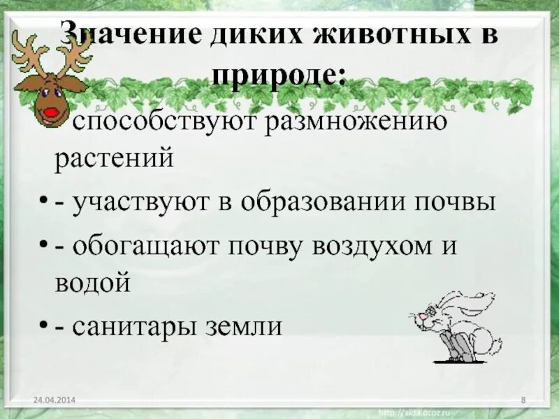 Какое значение имеет животных и человека. Значение диких животных в природе. Польза животных для человека и природы. Дикие животные польза. Польза диких животных для человека.