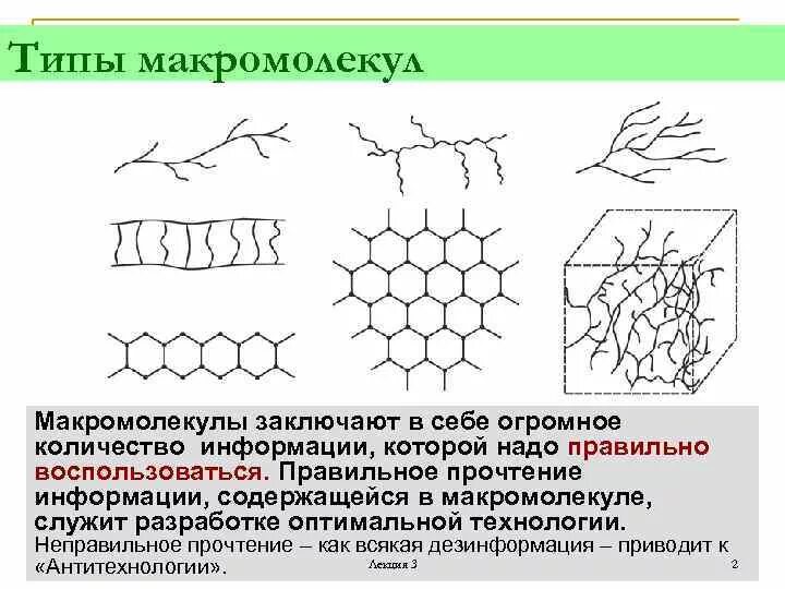 Структуры макромолекулы. Структуры макромолекулы