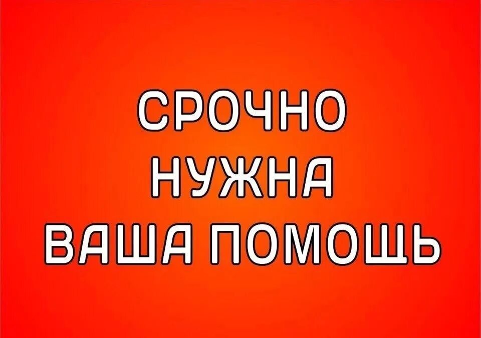 Людям требуется помощь в. Срочно нужна помощь. очень срочно нужна помощь. срочно нужна ваша помощь. срочно.