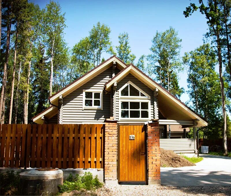 Дача в сосновом бору. Дача с соснами на участке. In the cabin woods хижина в лесу cabin. Домик с соснами на участке. Усадьба хонка медное.