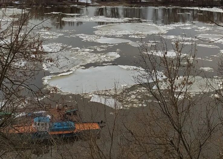 Гидропост горбатов на оке сегодня уровень воды