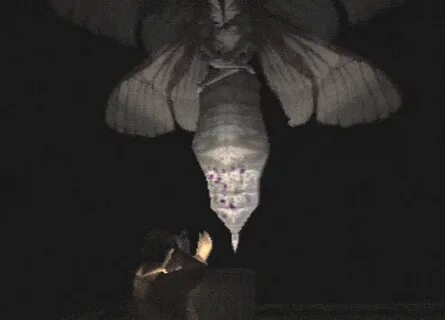 Одинокий мотылëк