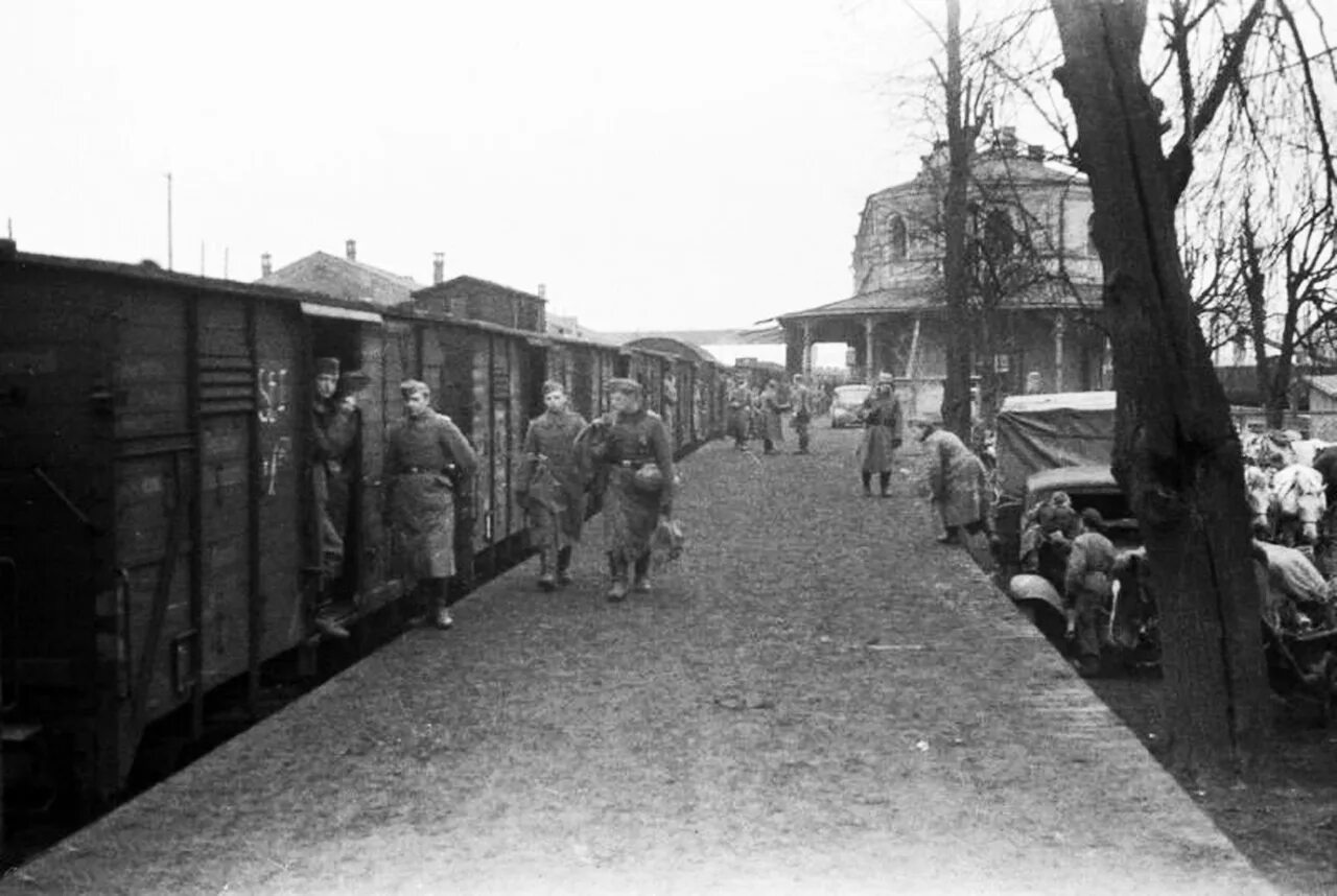 Мга 1941. Ссср вокзал 1941. станция новолисино немцы. тосно в годы оккупации 1941 г. станция волхов в 1941.