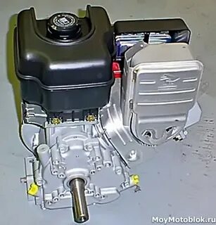 Briggs stratton 10 л с