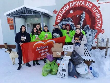 Мир добрых сердец приют для кошек