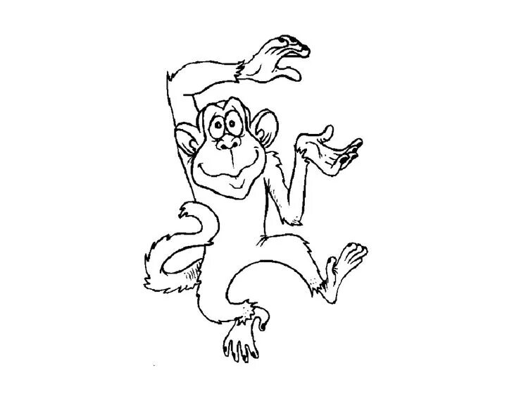 Рисунок к рассказу обезьянка. Житков про обезьянку 3 класс. Раскраска из сказки про обезьянку Житков. Иллюстрация про обезьянку. Обезьяна черно белая.