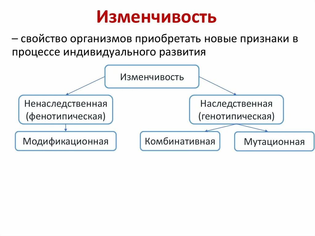 Наследственная изменчивость норма реакции. Мутационная и модификационная изменчивость. Закономерности изменчивости мутационная изменчивость. Закономерность изменчивость ненаследственную изменчивость. Закономерность наследственной изменчивости