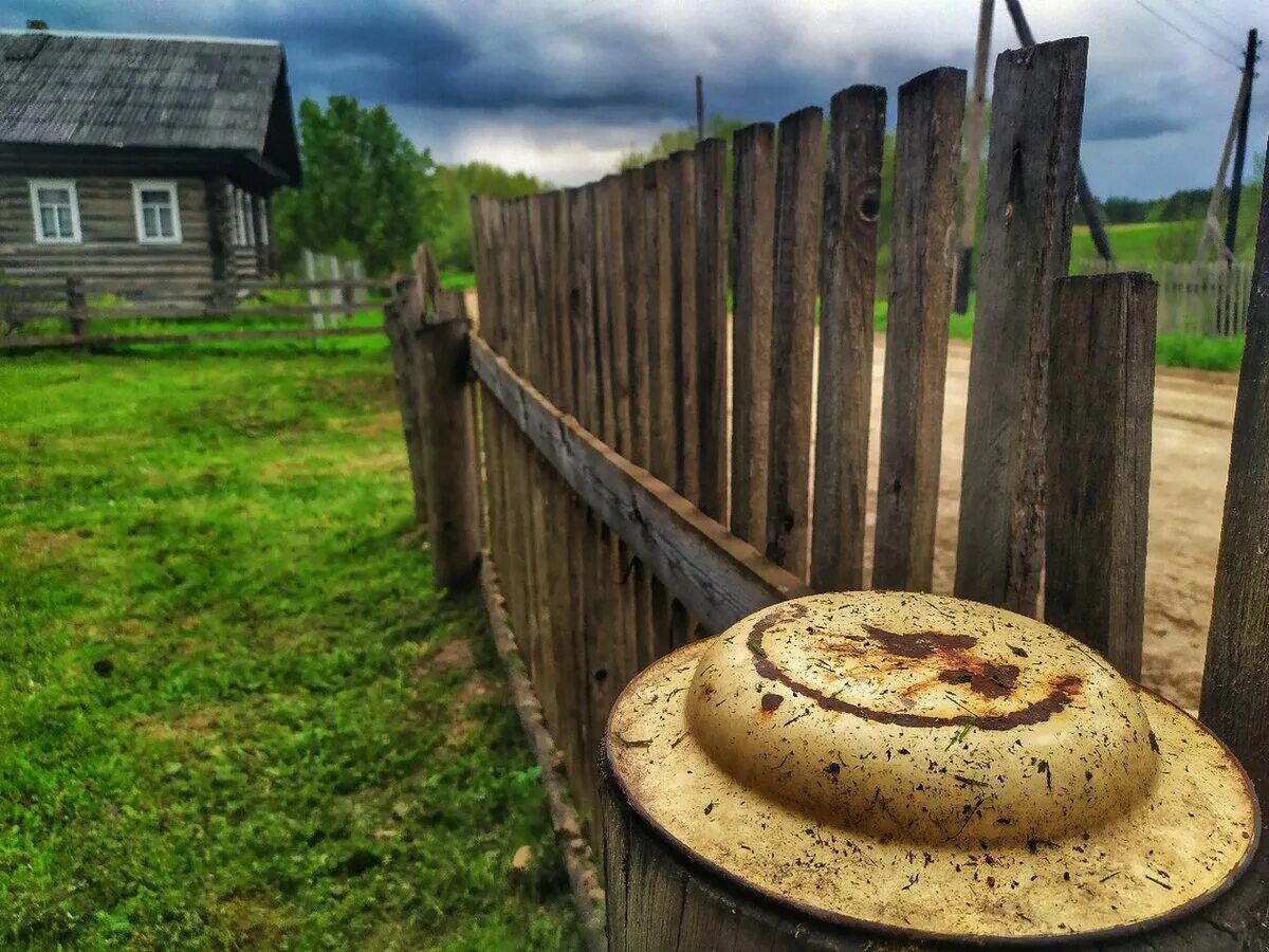 Часть деревни. Двор в деревне. Деревенский дом двор. Красивый деревенский двор. Деревья во дворе.