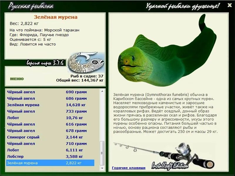 Известно что у прибрежных водорослей. Донный образ жизни. Русская рыбалка 3 6 Флорида зеленая мурена. Лобот рыба.