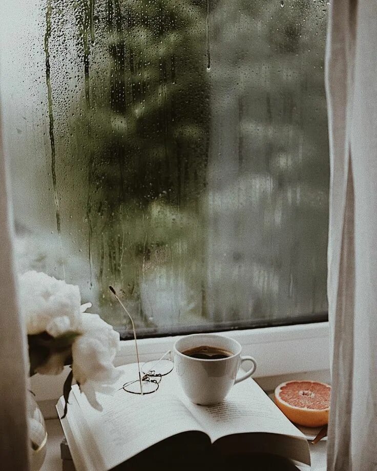 Дождливое утро. Дождь за окном. Доброе дождливое утро. Дождь в окне. Видеть за окном дождь
