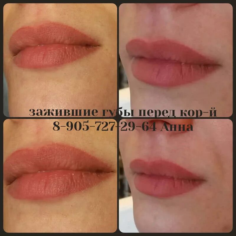 Татуаж губ через сколько. Заживший татуаж губ с контуром. татуаж губ контур с растушевкой. перманентный макияж губ с растушевкой до и после заживления. татуаж губ с растушевкой зажившие.