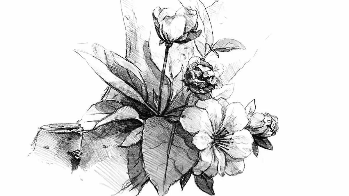 Композиции цветов карандашом. Эскиз цветочной композиции. Наброски цветов. Букет карандашом. Цветы карандашом.