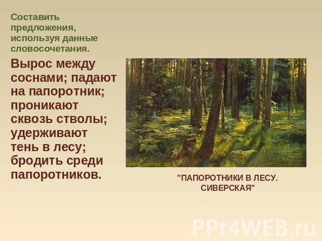 Сосновый лес предложение. Предложения с сосновым лесом. Составь предложения с Сосновый лес. Предложение со словосочетанием опушка соснового леса. Составить предложение лесная чаща