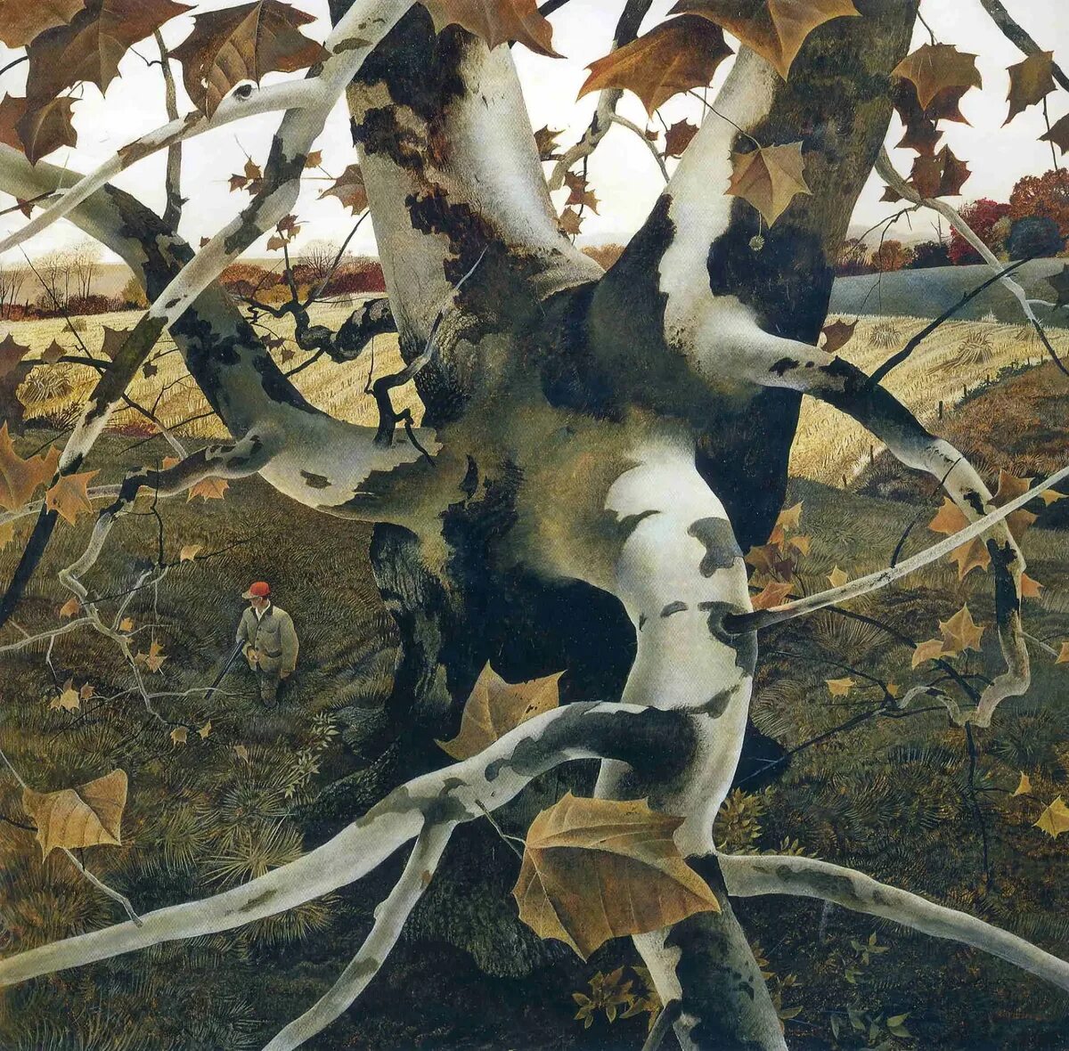 Картины эндрю. Эндрю Уайет (1917−2009). Эндрю Ньюэлл Уайет Andrew Newell Wyeth (1917 - 2009). Эндрю Уайт художник. Э́ндрю Нью́элл Уа́йет.