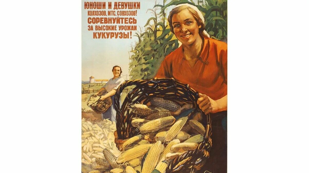 Кукуруза царица полей хрущев. Кукурузный год. Кукурузный год. Советские плакаты про кукурузу. Плакаты хрущева дорогу кукурузе.