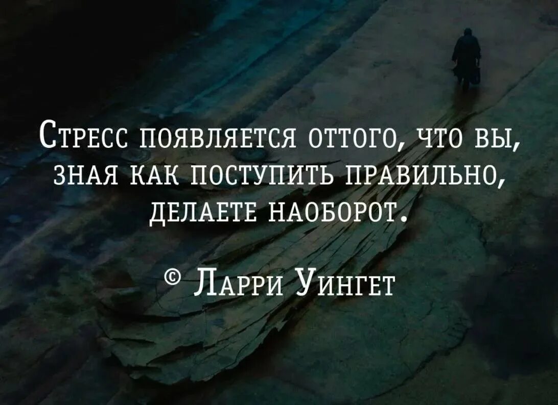 Цитаты про стресс. Афоризмы про стресс. Фраза про стрессоустойчивость. Афоризмы про стрессоустойчивость. Как всегда быть с холодной головой