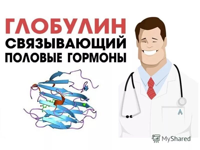 Глобулин связывающий половые гормоны норма. Гспг норма у мужчин нмоль/л. Глобулин связывающий гормоны норма. Гспг глобулин связывающий. Глобулин связывающие половые гормоны норма таблица.