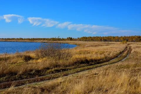 Песчаное курганская область
