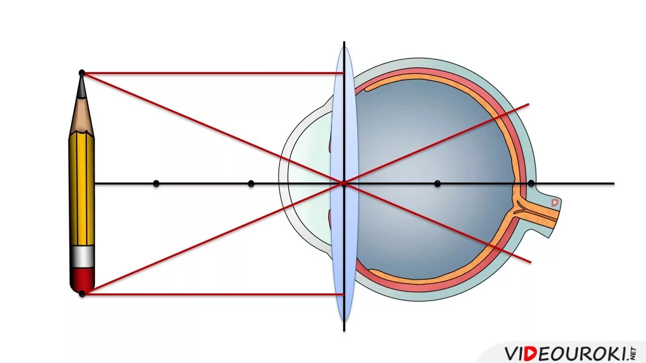 Оптическая точка зрения. Физика 8 кл глаз и зрение. Глаз зрение очки физика 8 класс. Изображение в глазу физика. Глаз с точки зрения физики.