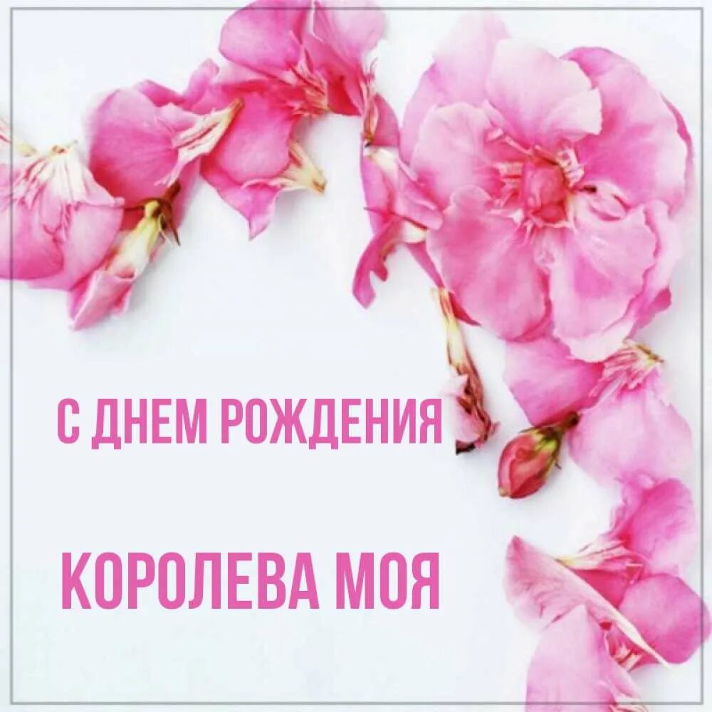 С днем рождения моя королева. С днем рождения моя королева. С днем рождения королева открытка. Открытка королеве красоты. С днем рождения моя королева.