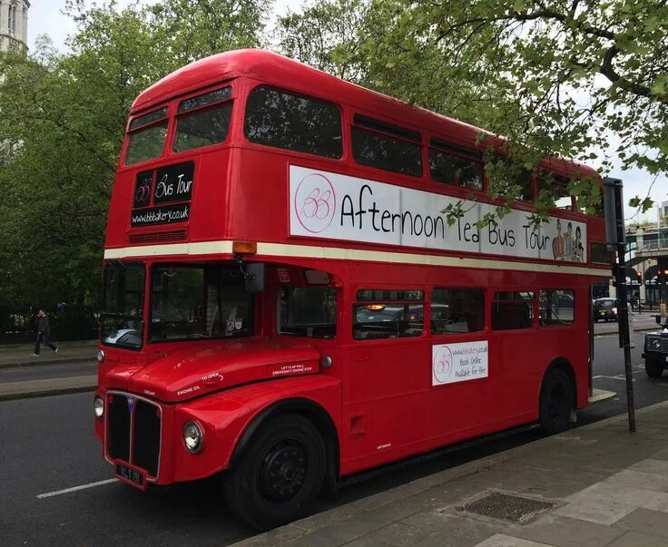 Red bus