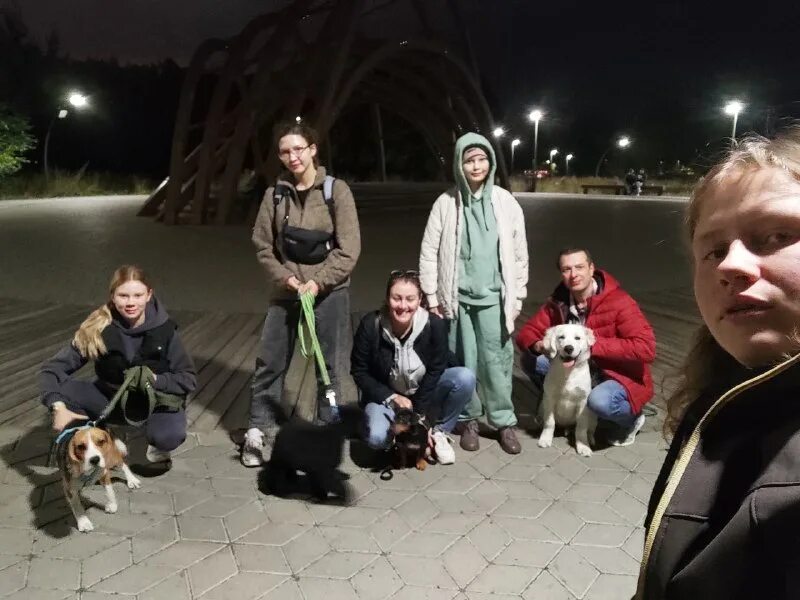 Puppy band. Пес и группа. Солист группы щенки. Щенки группа обои. Солист группы щенки.