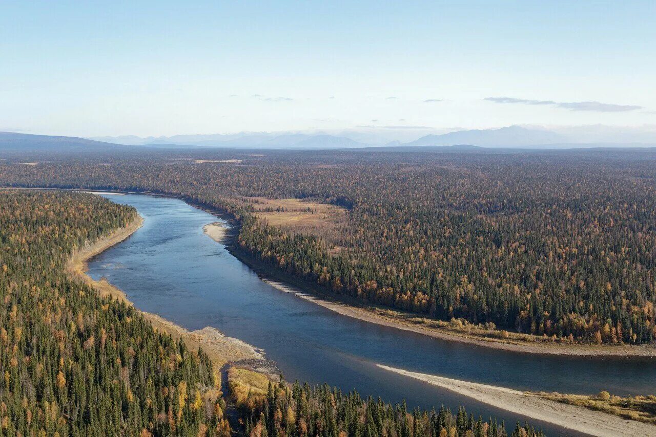 Река щугор республика коми. Река щугор коми. River republic. Река печора. River republic.