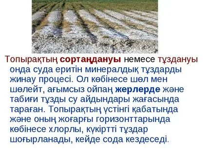 Маған жыныстық қатынас орнатыңыз