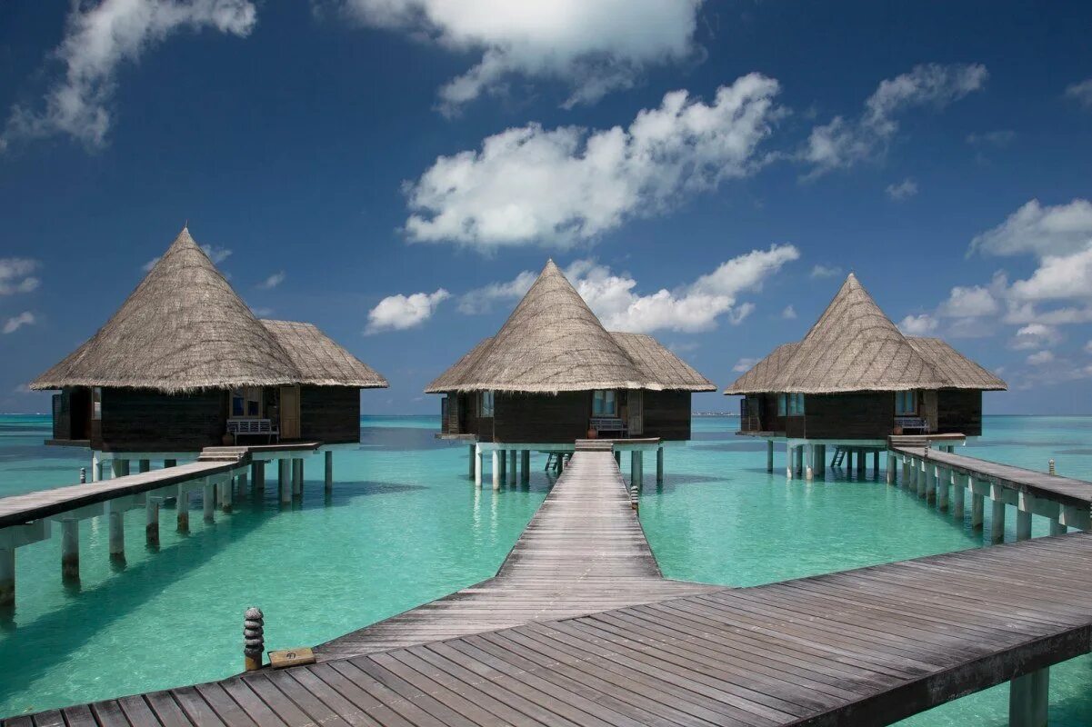 Coco мальдивы. Coco palm мальдивы. coco palm dhuni kolhu. coco palm dhuni kolhu 4*. coco villa мальдивы.