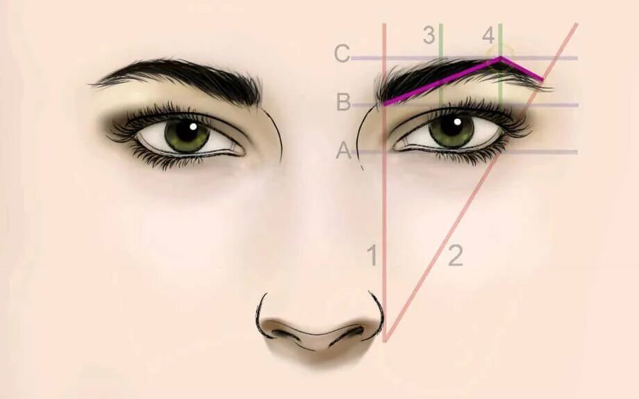 Eyebrows which technic works Eyebrow makeup tutorial, Pinterest makeup, Eye m