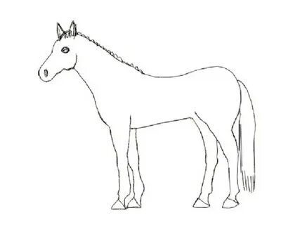 Патология: Екі жыныс мүшесі бар адам