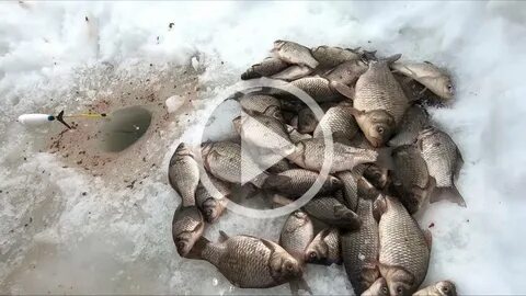 Где где зимой видео