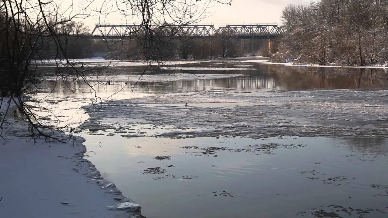 Уровень воды в реке клязьма. Река Клязьма Химки. Река Клязьма весной. Плотины на реке Клязьма. Клязьма река затоплено.