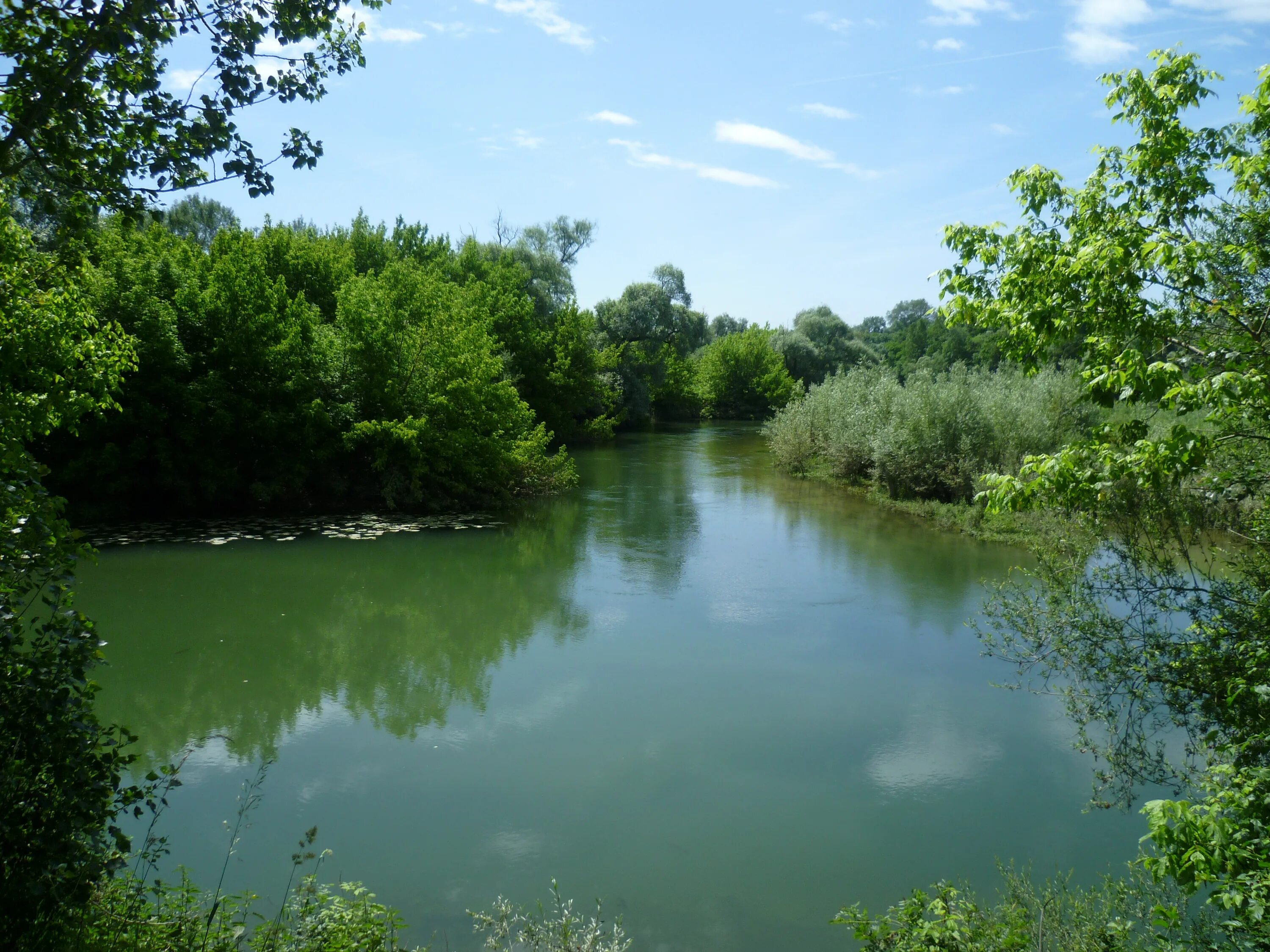 Лаба зеленая. Река Грин Ривер фото. Зеленая речка. Река зеленого цвета. Река зелёная Украина.