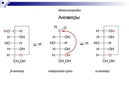 Аномера