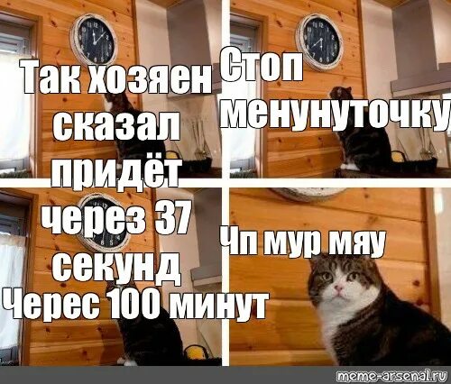 And so every year MDK ВКонтакте