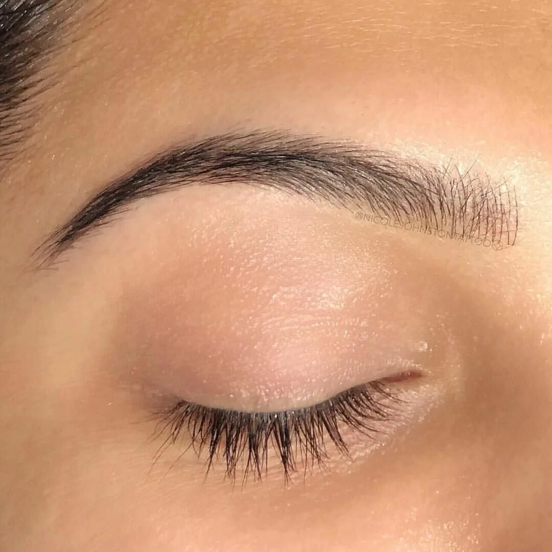 Perfect brow. Перманентный макияж бровей графитовый цвет. Перманент бровей графит. Татуаж бровей графитовый цвет. Перманентный макияж бровей цвет графит.