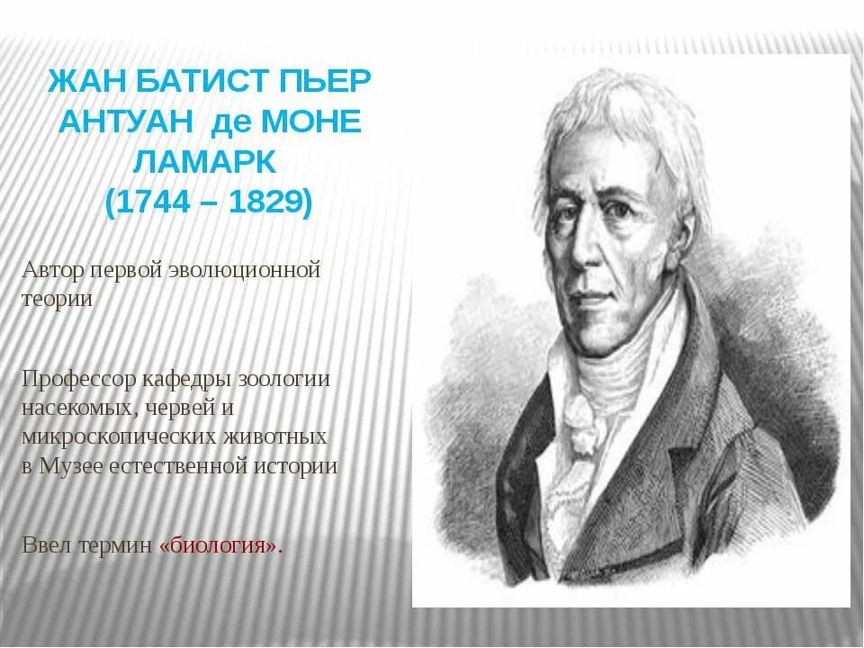 Пьера батиста. Пьера батиста. Батист ламарк. Ламарк биология. Jean baptiste marie pierre.