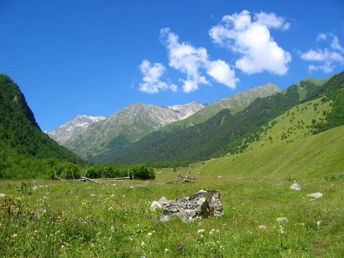 пышные поля холмы покрытые венцом дерев. пышные поля холмы покрытые венцом дерев. пышные поля холмы покрытые венцом дерев. холмы вдали. удмуртия холмистая равнина.