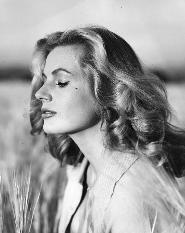 Экберг. Anita ekberg. Anita marianne ekberg. Anita ekberg. Anita ekberg 1956.