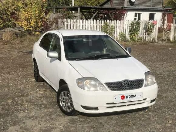 Тойота Королла 2001 седан белая. Тойота Королла 2001 седан. Toyota Corolla 2001 седан. Дром Бийск.