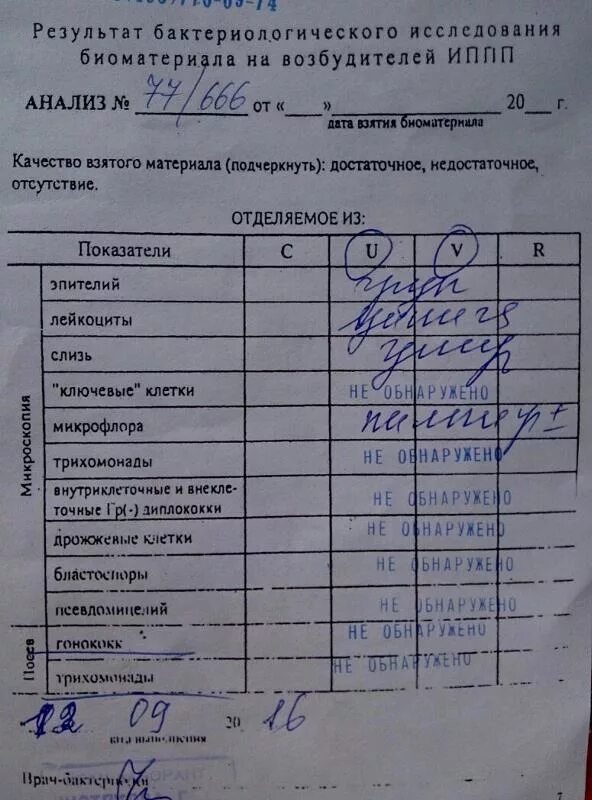 Результаты медицинского обследования. Анализ результатов исследования. результаты анализов. иппп анализ. анализ крови на инфекции.